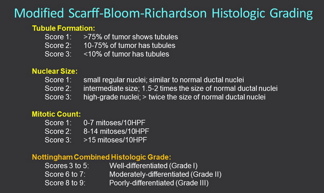 Modified Scarff-Bloom-Richardson Histologic Grading_resized.jpg